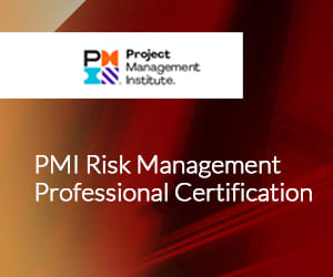 PMI Risk Management