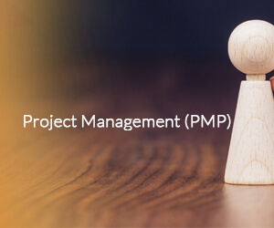 إدارة المشاريع(PMP)
